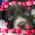 Patricia Mueller's profile image