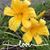 Donna Payne Smith's profile image