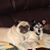 Linda Iversen Grimes's profile image