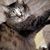 Maggi Smith's profile image