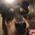 Dawn Simmons's profile image