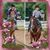 Linda L Schwartz Grove's profile image