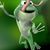 Amber Smith's profile image