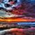 Diana Flores's profile image