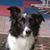 Kimberly Smith's profile image