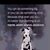 Christine Chiumento-Todd's profile image