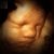 Connie Nunn Beale's profile image