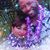 Jeffrey Lee Tolbert's profile image