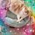 Anaya Voigt's profile image