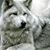Robert Wolf Browning's profile image