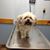 Carole Obaker's profile image