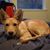 David Gulick's profile image
