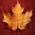 Stephanie Imes Long's profile image
