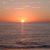 Peggy Joyce D'Augustino's profile image