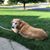 Ron Heltemes's profile image