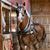 Lynn Loveland's profile image