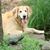 Russ Kolany's profile image