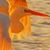 Patty Christopher's profile image