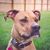 Harley Bubba's profile image