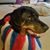 Barri Sue Bryant's profile image