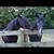 Lori Gianni Willmot's profile image
