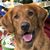 Mary Kuhns's profile image
