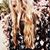 Dana Staker's profile image