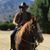 David Lasarte's profile image