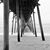 Leigh Talton's profile image