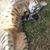 Skylark Middleton's profile image