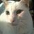 Joan Conlin's profile image