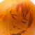 Little me1's profile image