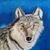 Renee Kirker's profile image