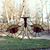 Sharon Koontz's profile image