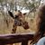 Teri Craven's profile image