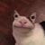 Thomas Beave's profile image