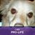 Kristie Lea Winebarger's profile image