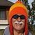 Rick Seifert's profile image