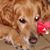 Jackie Weller's profile image