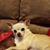 Lindsay Leigh Pinell's profile image