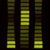 Randy Randerson's profile image
