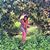 Atena Ghasemi's profile image
