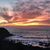 Lauralie Rose's profile image