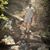 Michael Olmstead's profile image