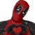 Deb Meyer Abramowitz's profile image