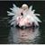 Linda Sharpe Maxey's profile image
