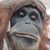 James Graham's profile image