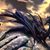 Wanda Leonard Hege's profile image