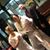 Amanda Atencio's profile image