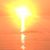 Shannon Samulak's profile image